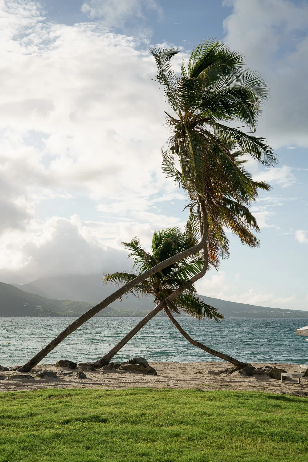 PARKHYATT_STKITTS-9998.jpg