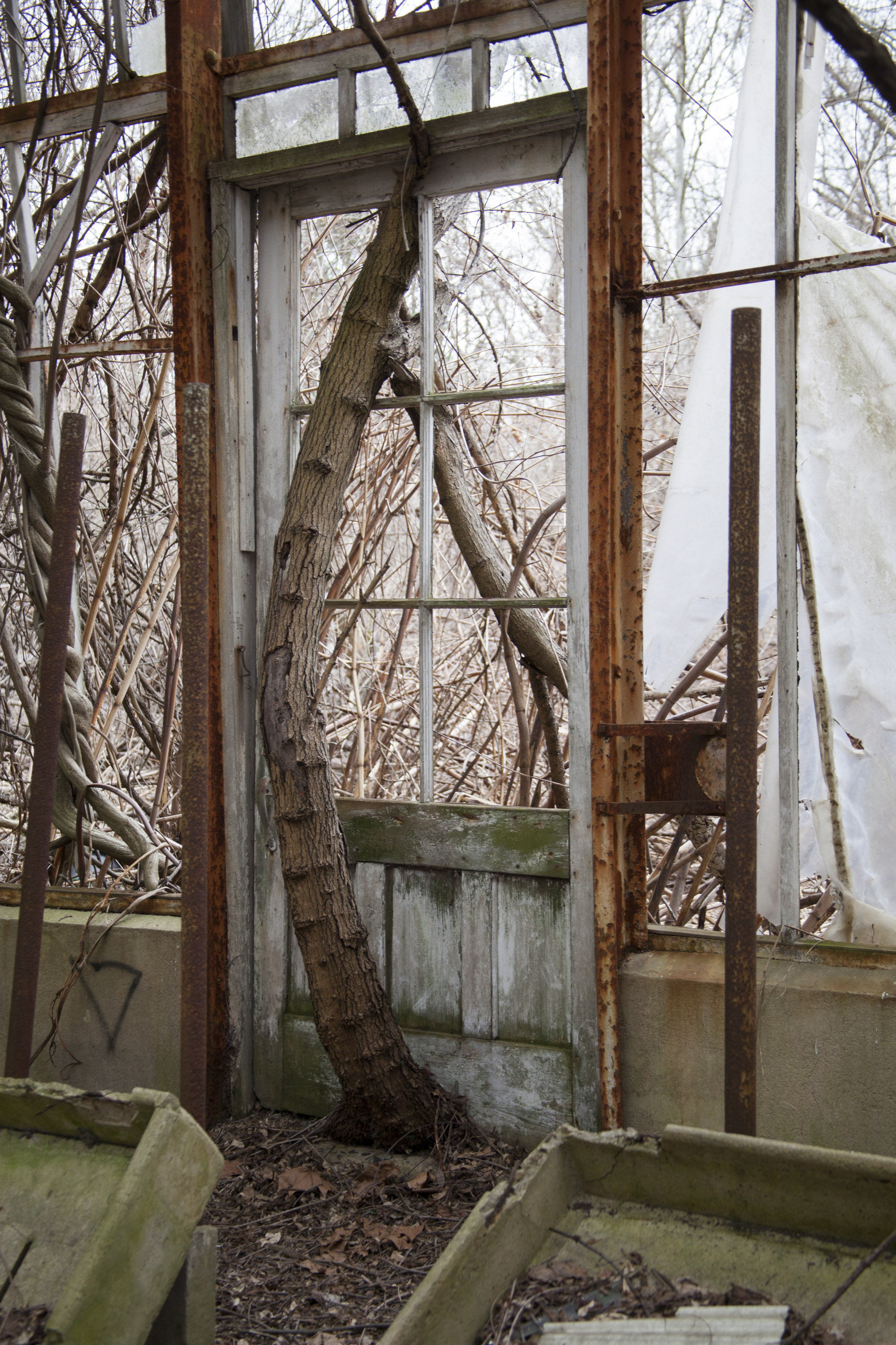 160313-kristenhom-abandoned greenhouse-077.jpg