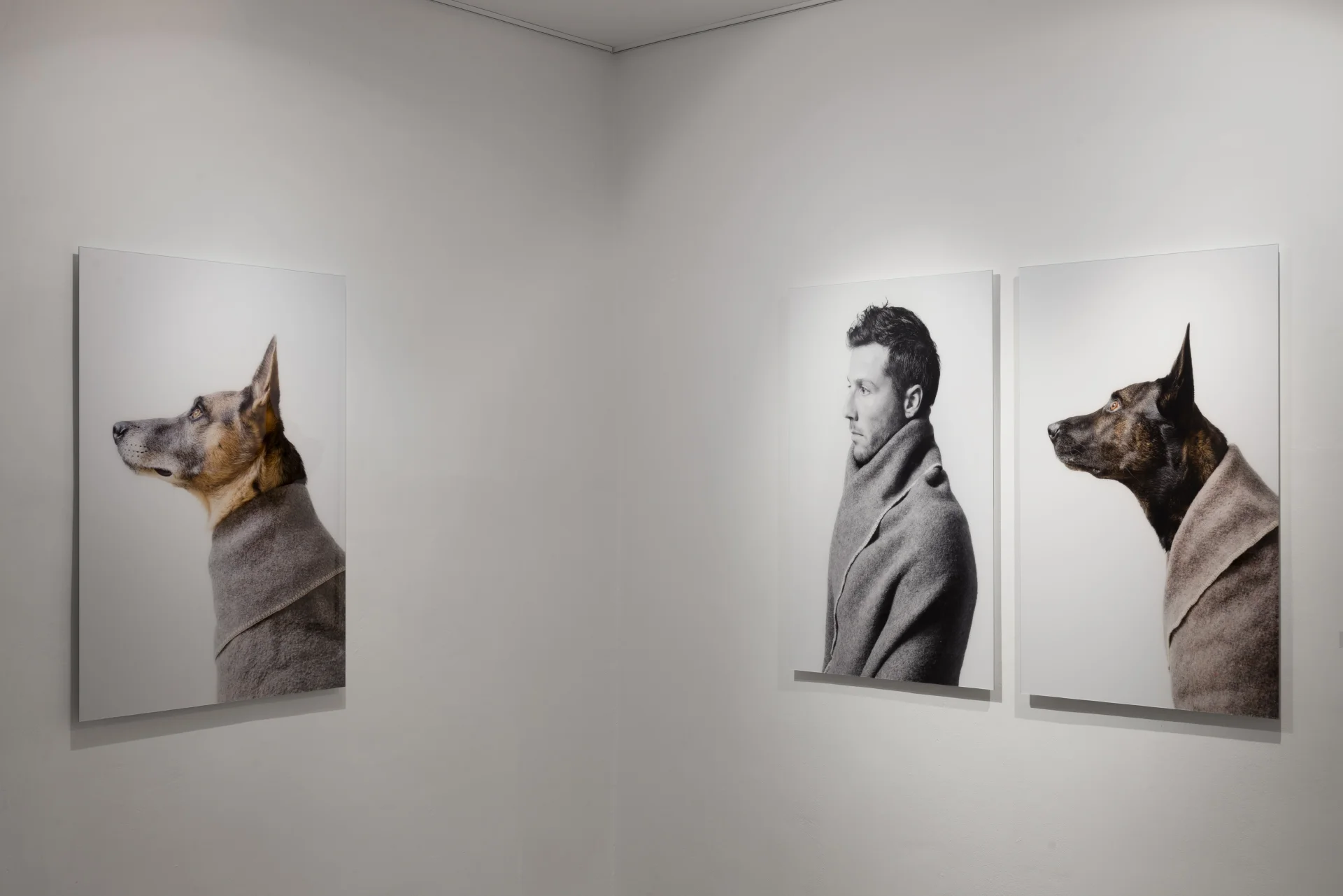  Gallery Contemporary by Golconda, "Beuys,&nbsp;Beuys,&nbsp;Beuys". Curator: Liav Mizrahi 