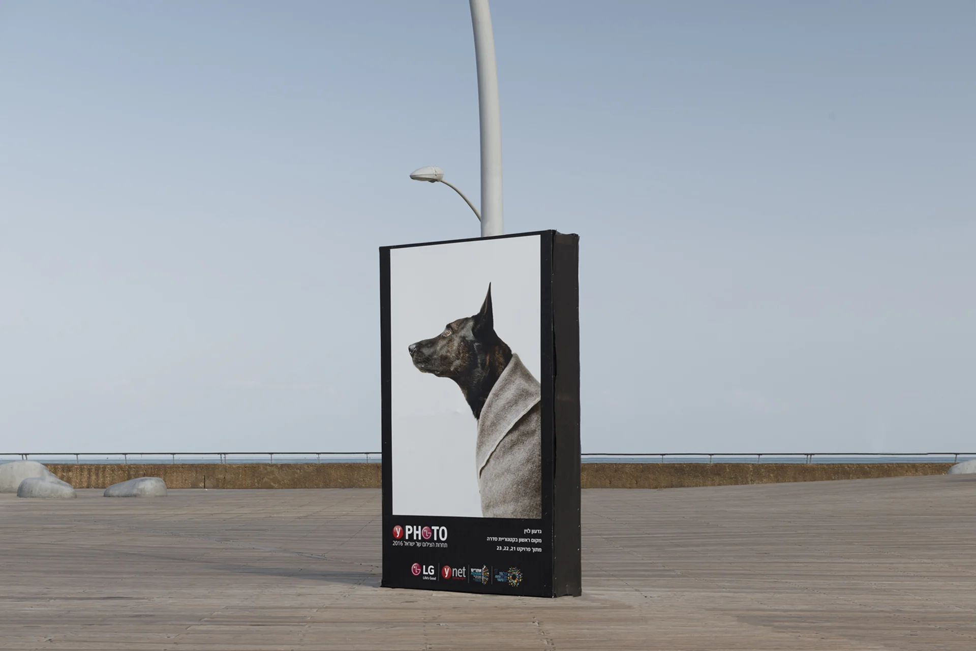   Best Long-Term Projects of the year, YPHOTO &amp; LG  Tel aviv, Israel 