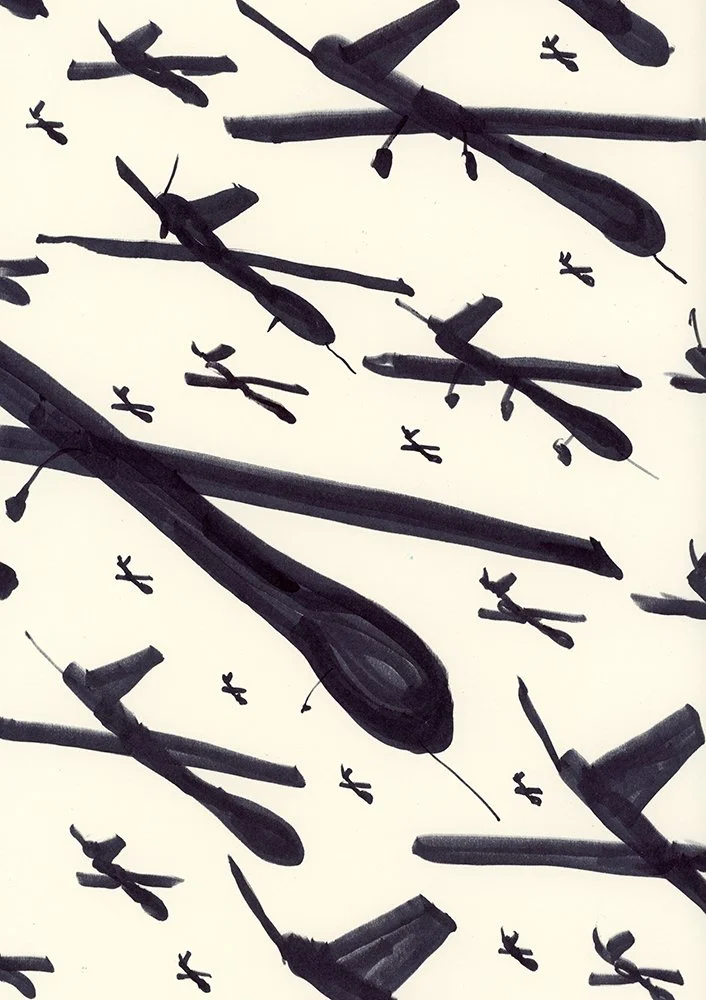 birds and drones copy.jpg