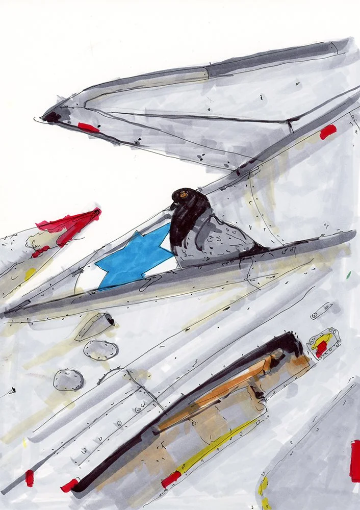 dove over the IAF copy.jpg