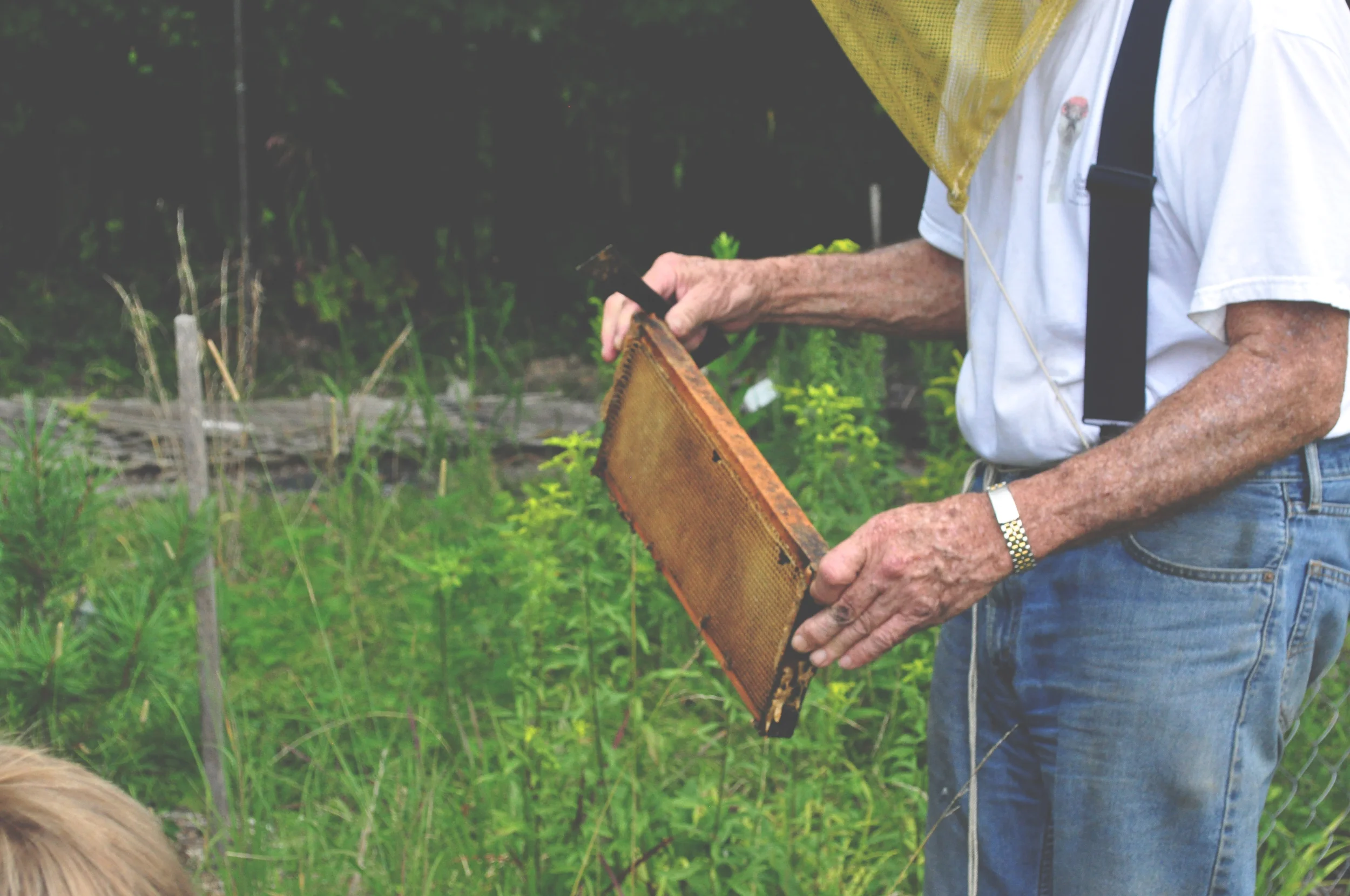 Here, the Orchard's resident beekeeping showing a hive filled was baby bees.