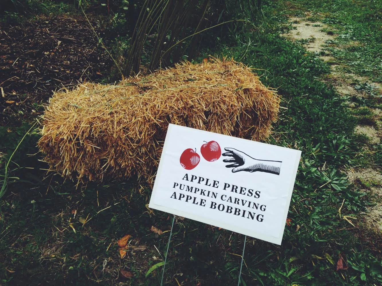 Signs guide guests to activities around the orchard...