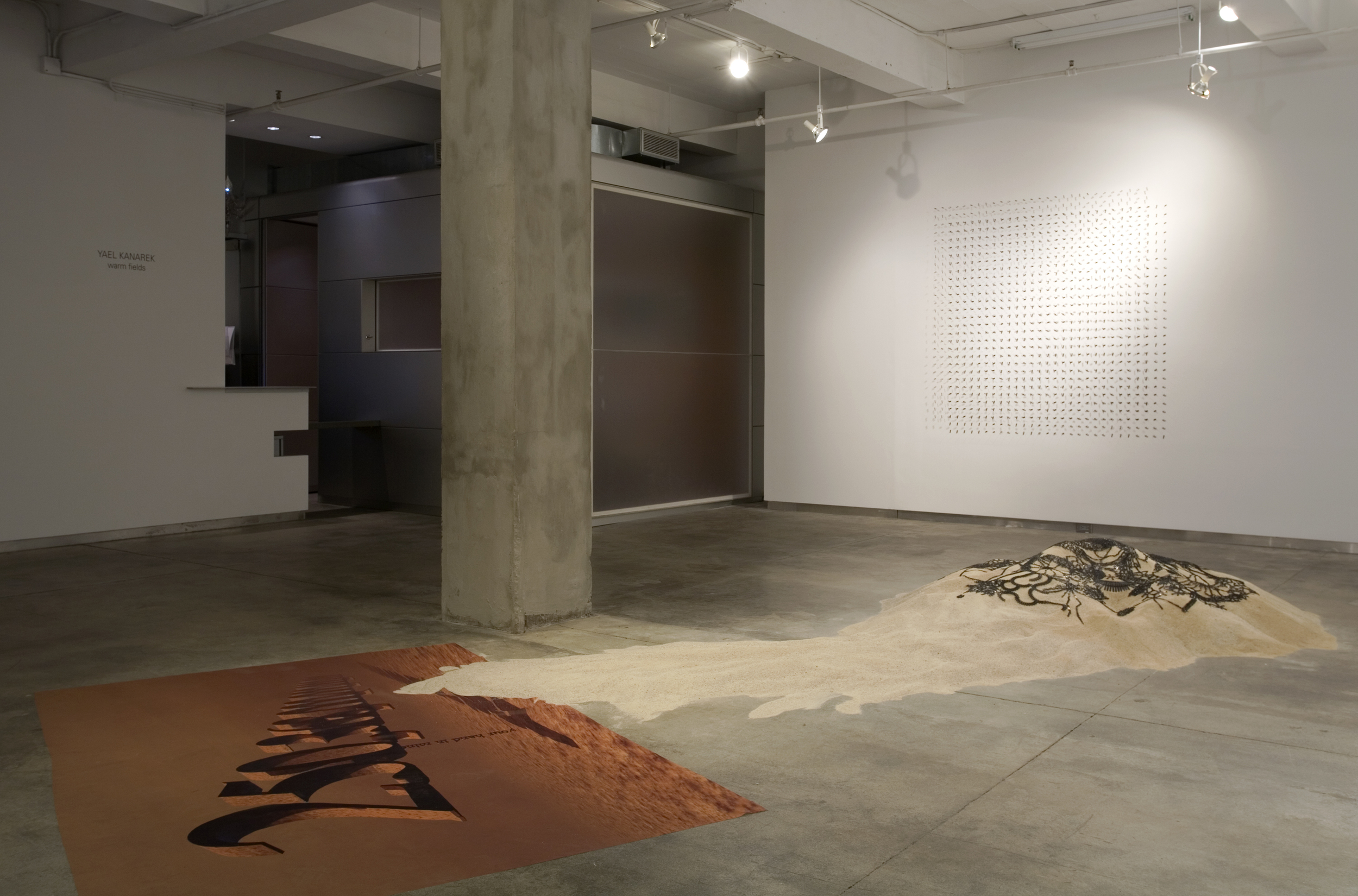 <em>Find</em>, 2010 (installation view)