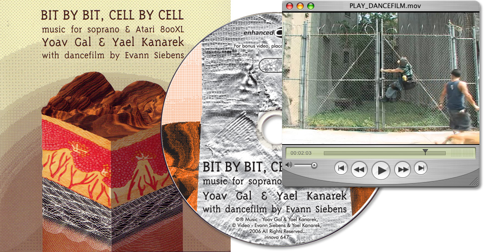 <em>Bit By Bit, Cell By Cell</em>, 2005