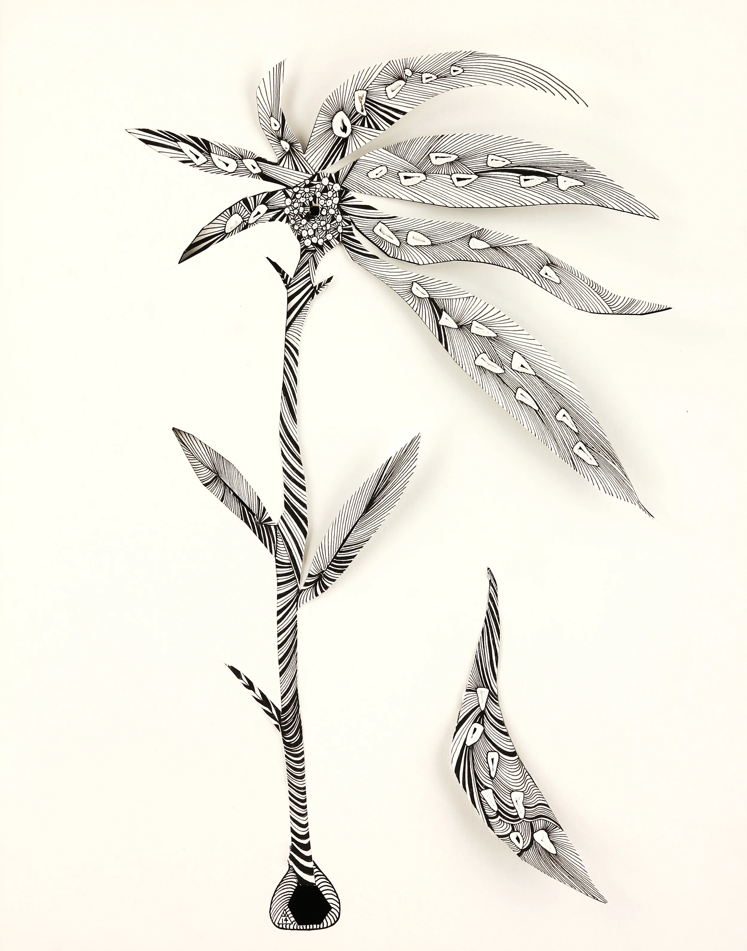 Medicinal Plant ink on paper, cut out, punched holes 14" x 11" 2014