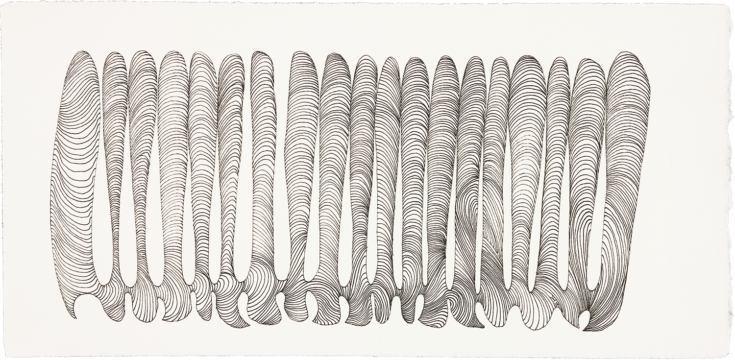 Finger Feelers ink on paper 6" x 13" 2014