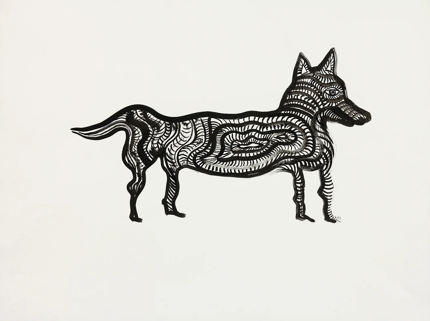 Fox sumi ink on paper 24" x 29" 2016