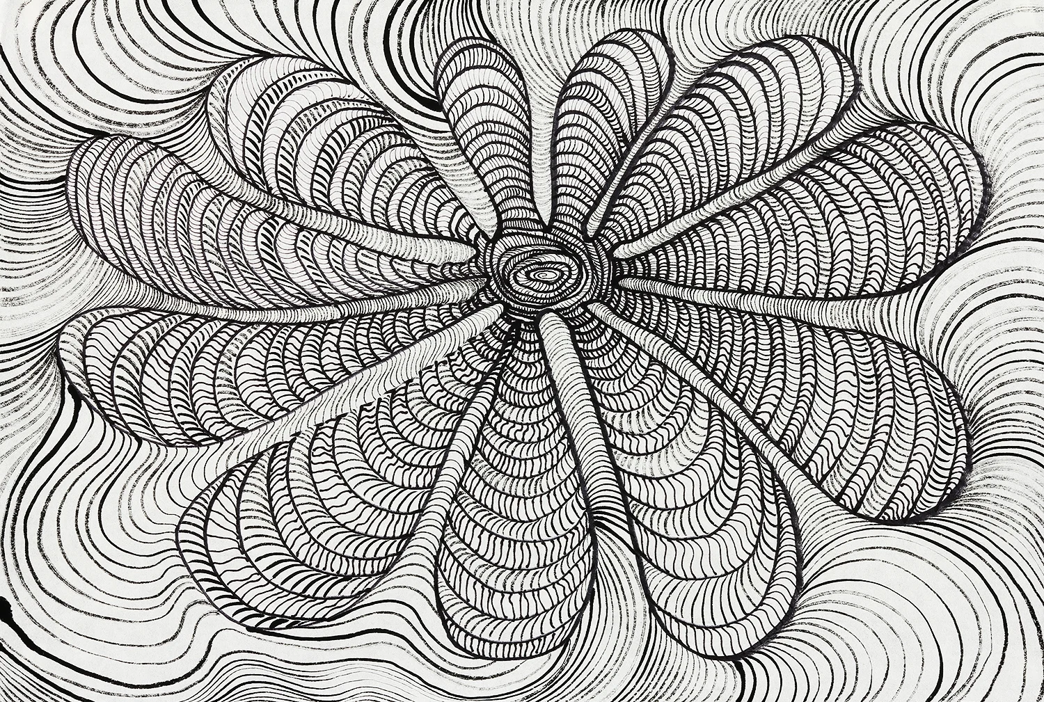 Eleven Petals sumi ink and pen on paper 17" x 23" 2016