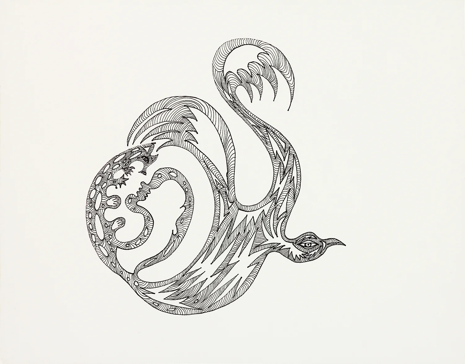 Creatures in Wing ink on paper 11" x 14" 2015 