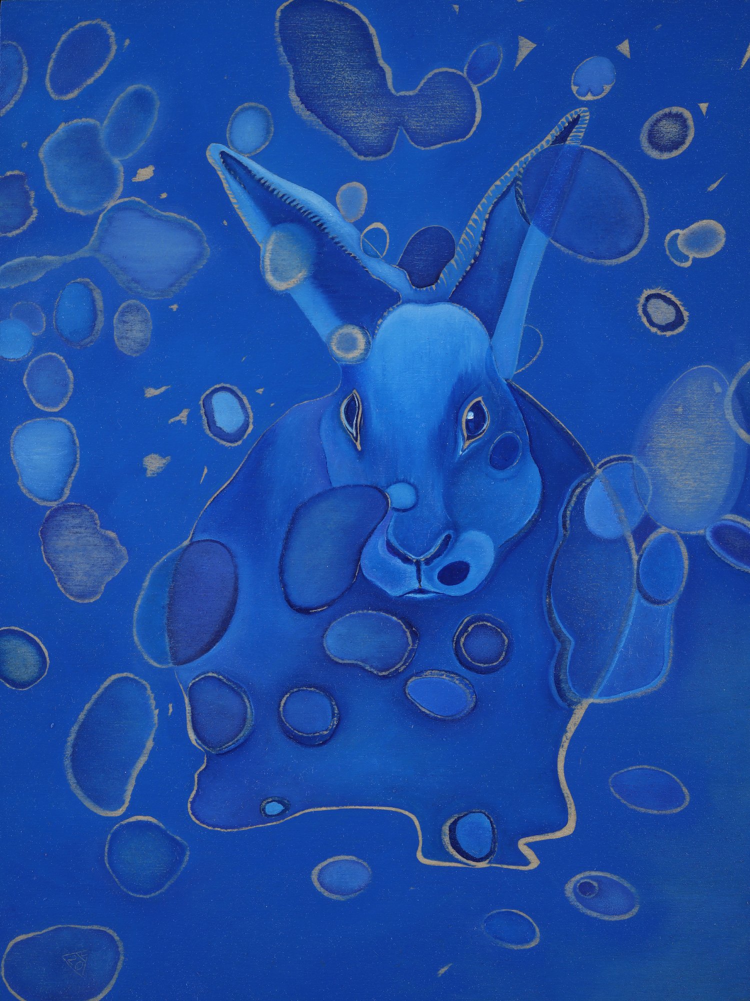 Lapin 1