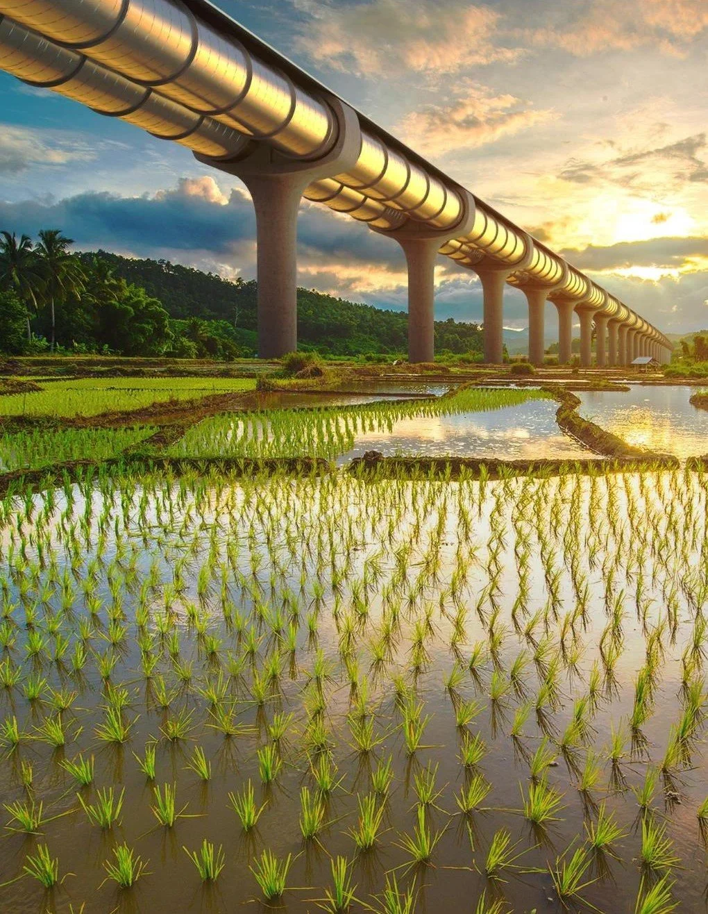 6.2019-03-Final-Report-TransPod-hyperloop-Thailand (1) 7.jpg