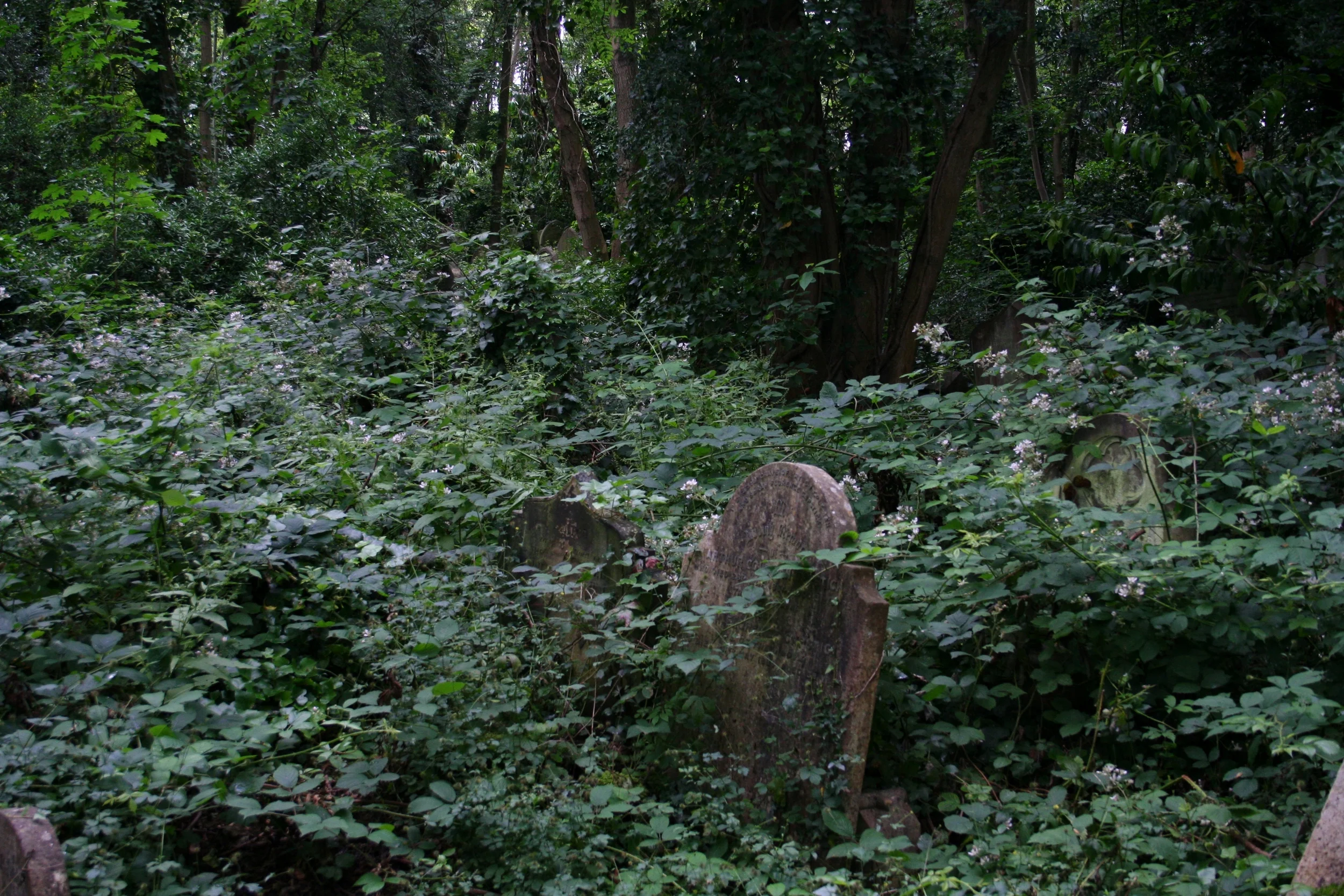 highgate.jpg