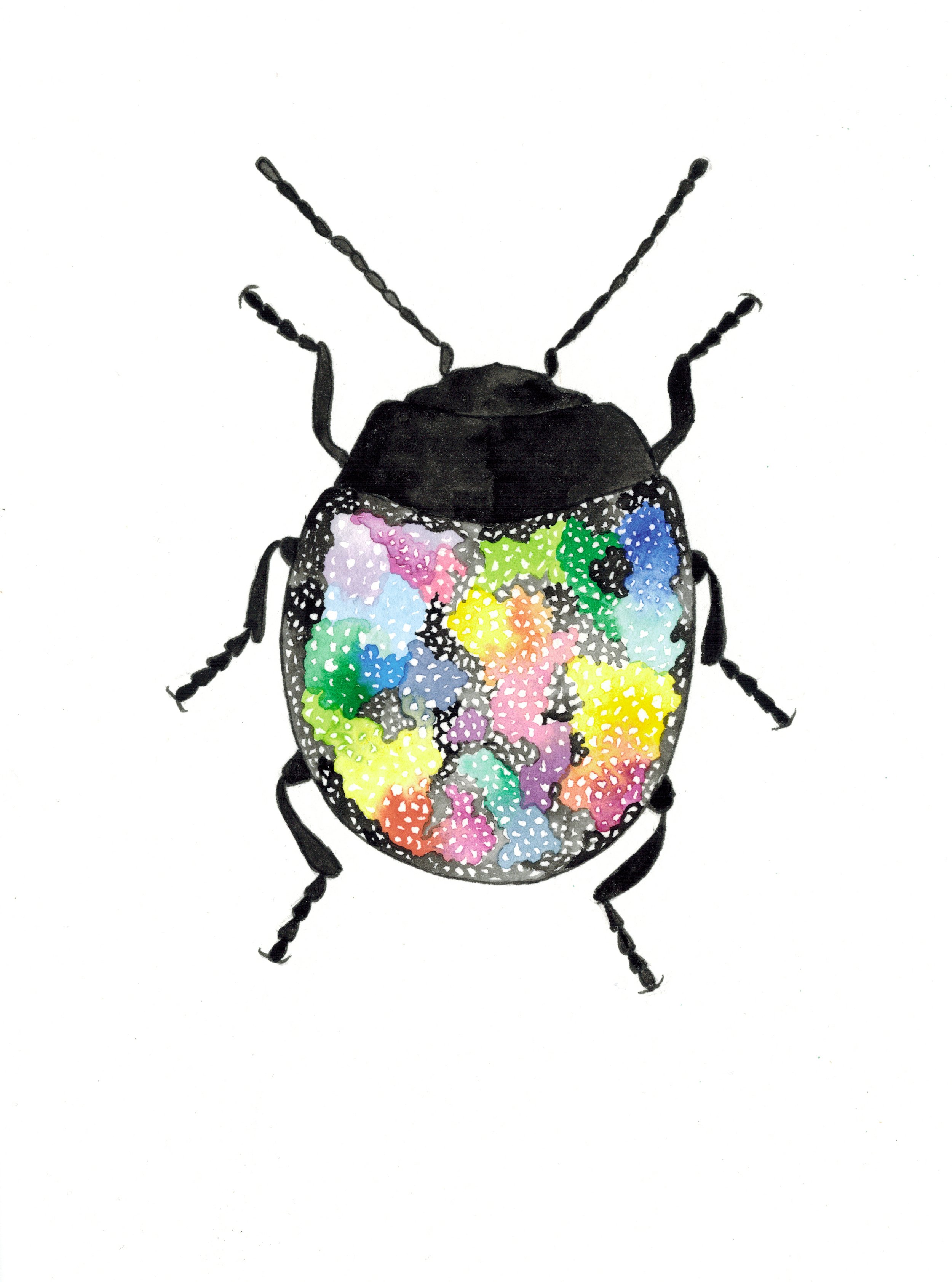 galaxy beetle round.jpg