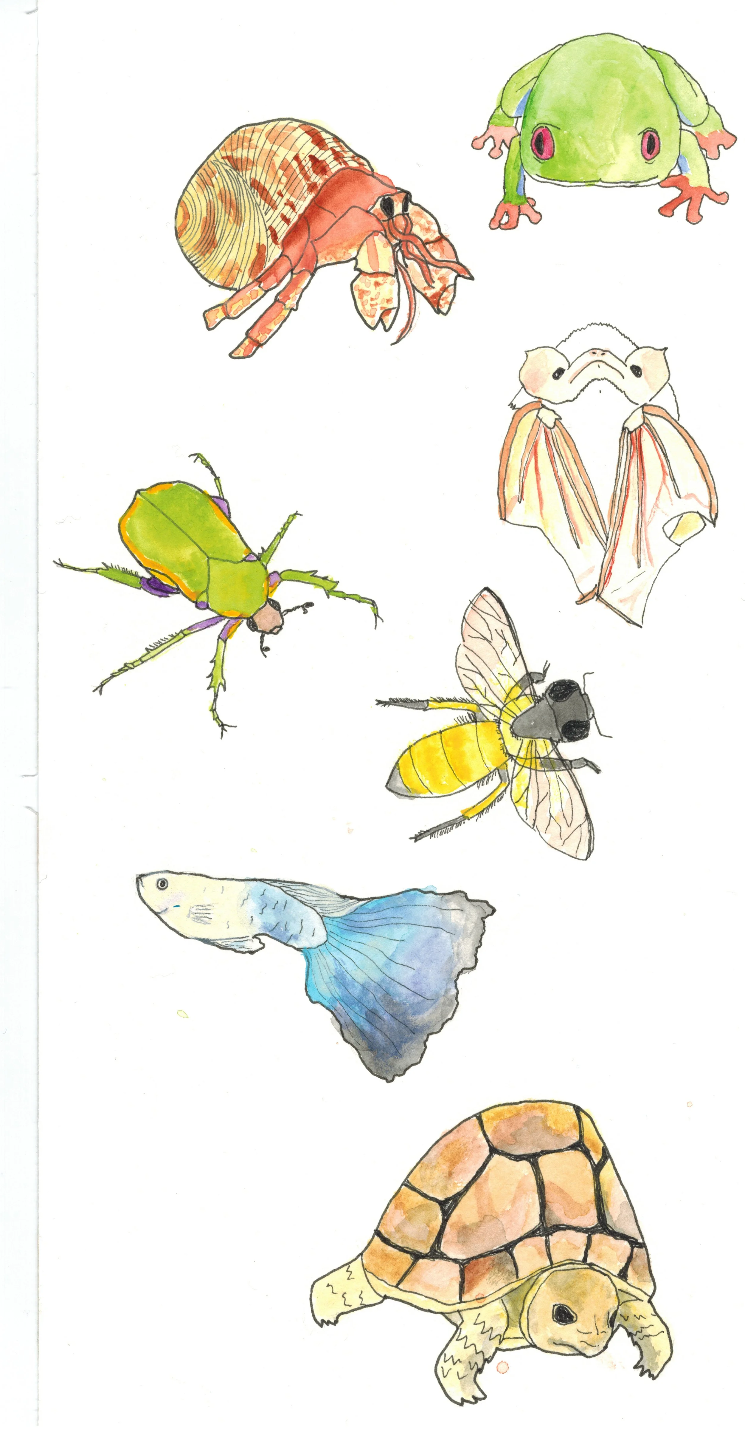 tiny things.jpeg
