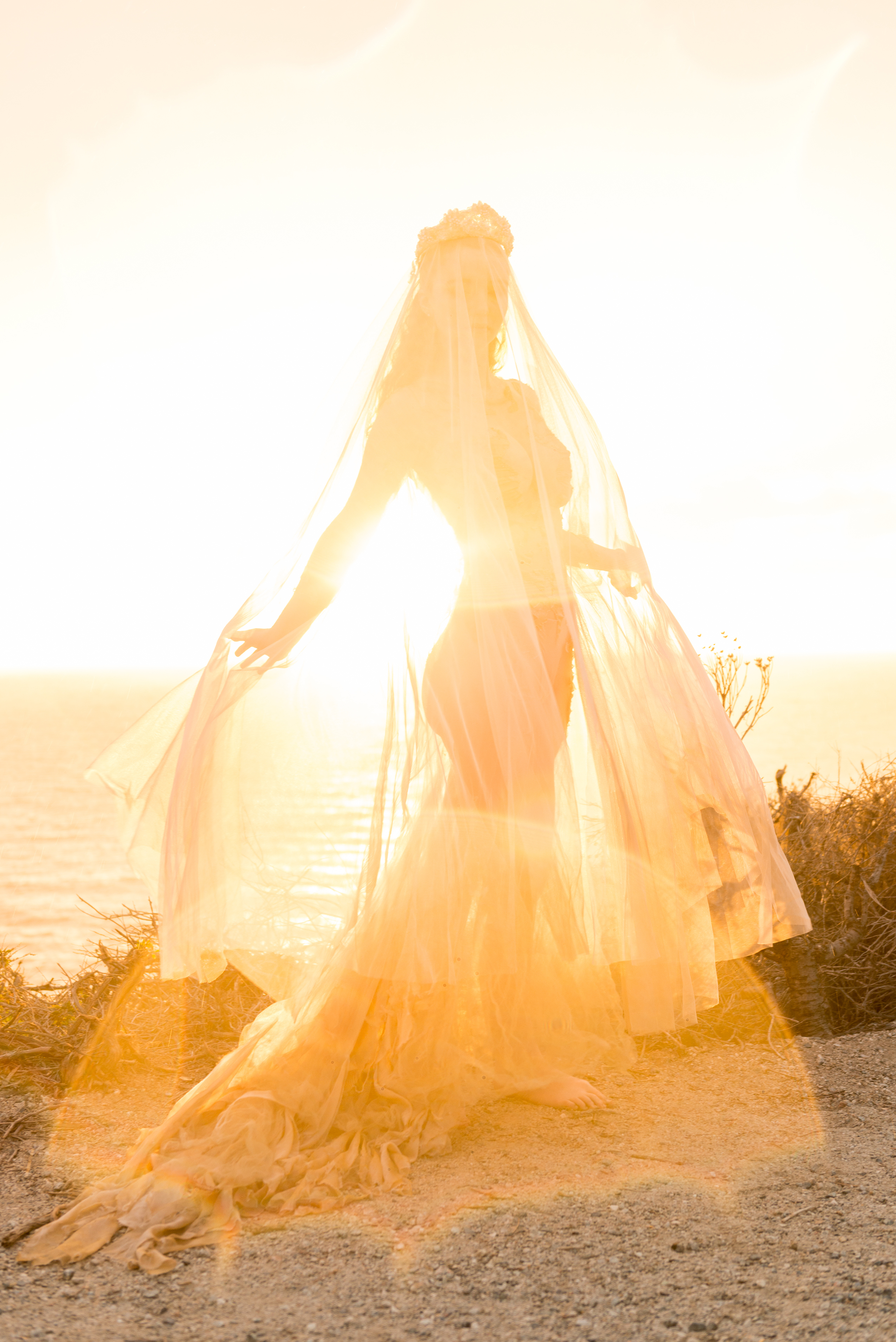 Metamorphosis Dress | Image by Lisa Town