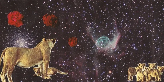 © The Lioness Oracle