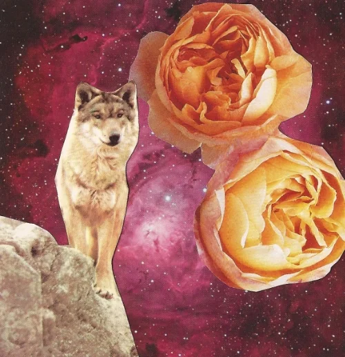 © The Lioness Oracle