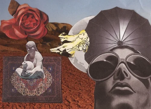 © The Lioness Oracle