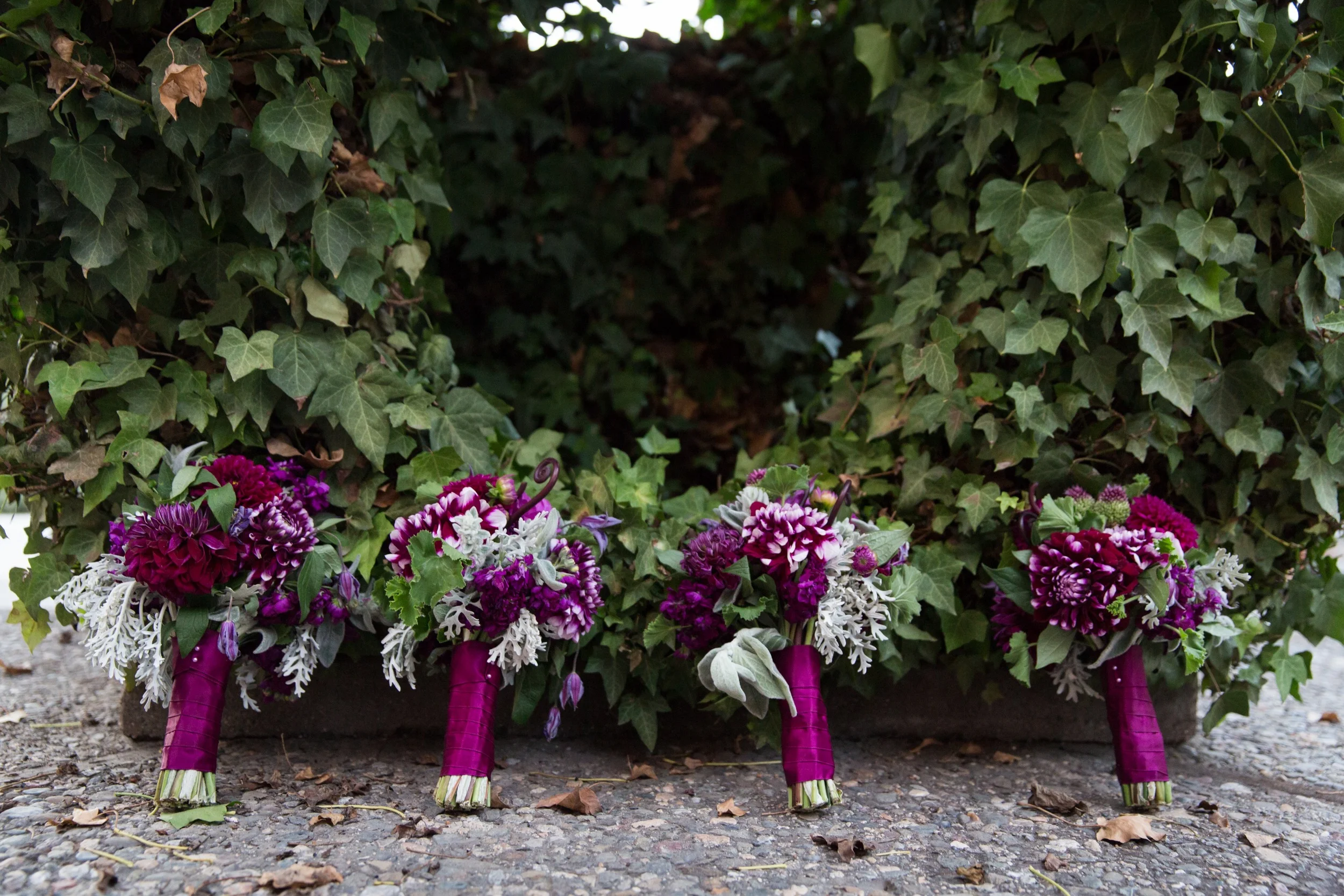 juniperspringphotography-catalex-flowers-28.jpg