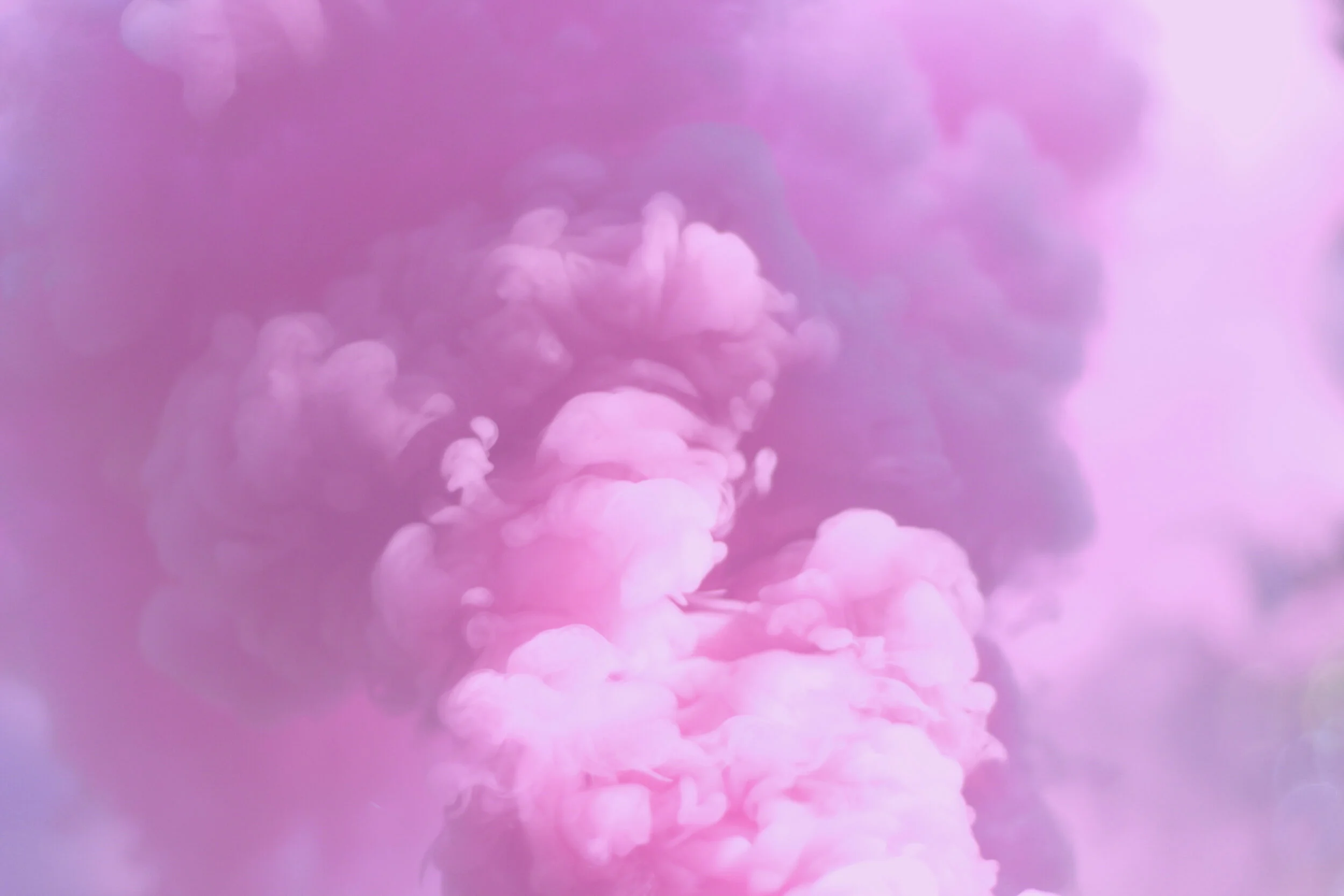 austin-chan-275640-unsplash 2 copy.jpg