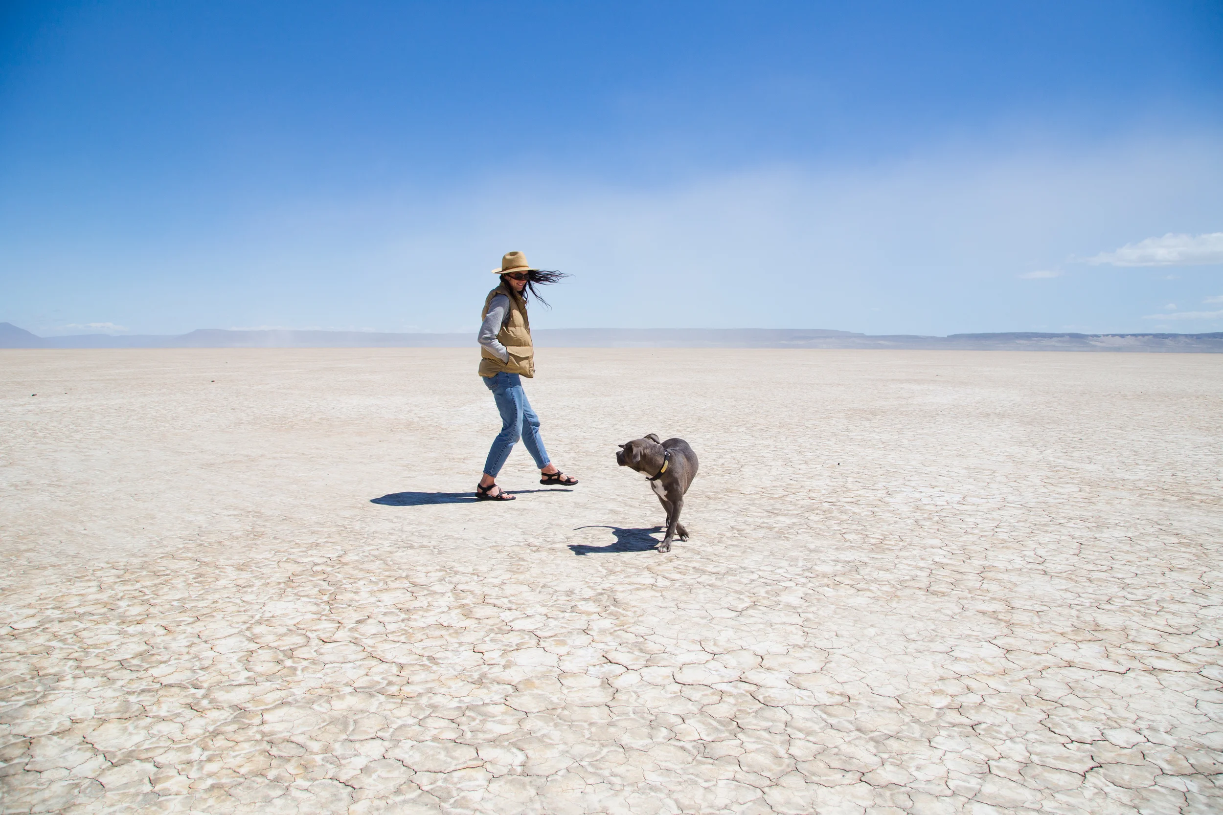 Alvord Desert