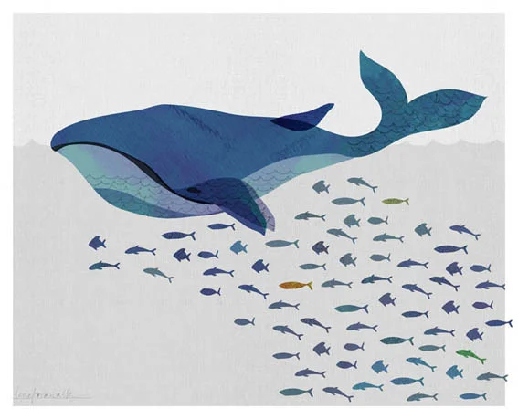 whale.jpg