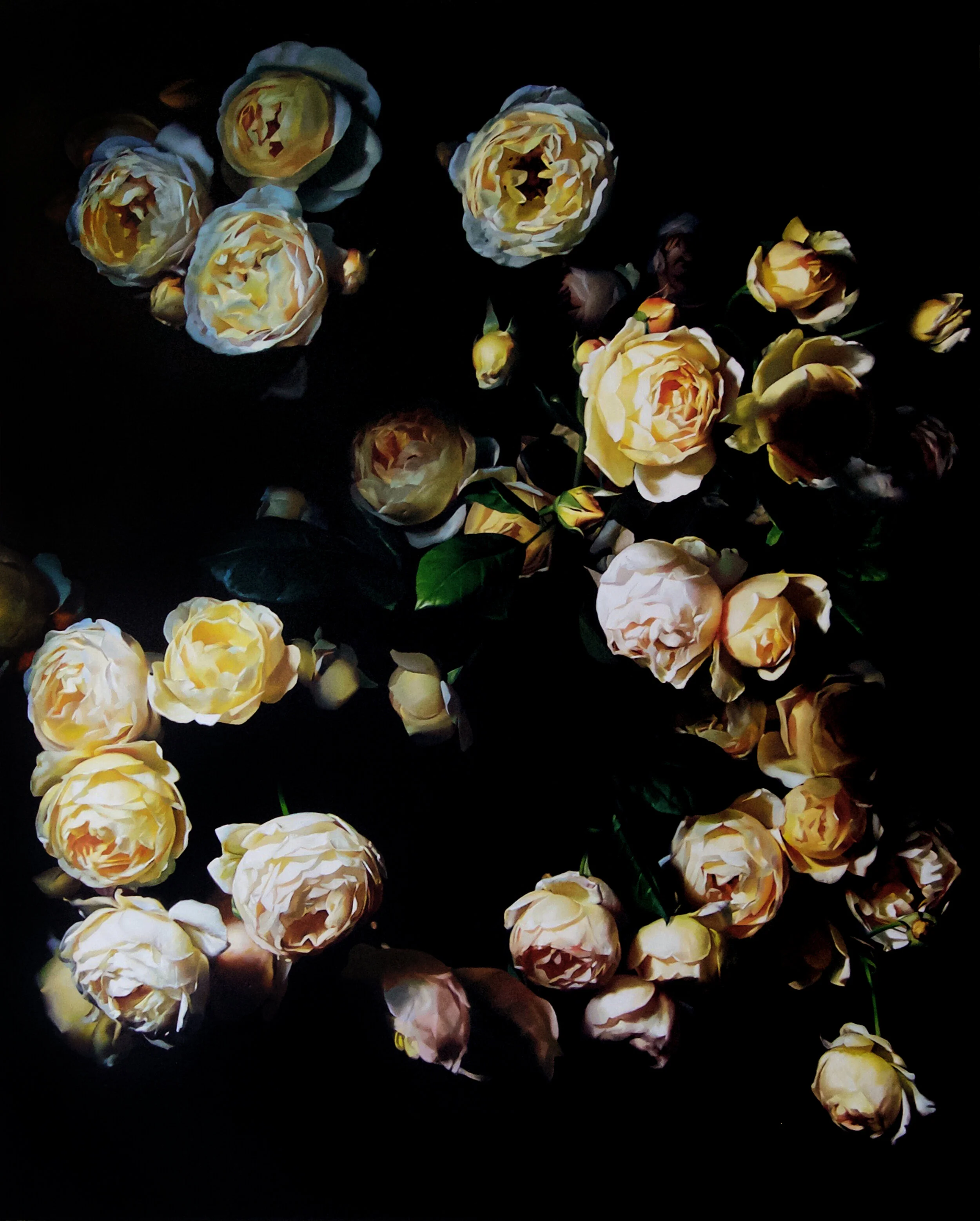 roses080forweb.jpg
