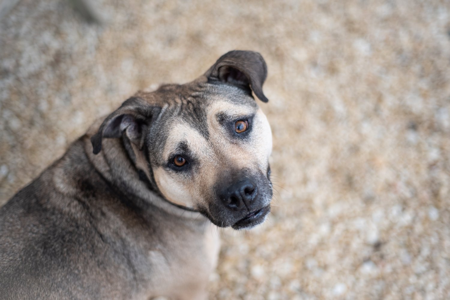 DSC_0266_small.jpeg