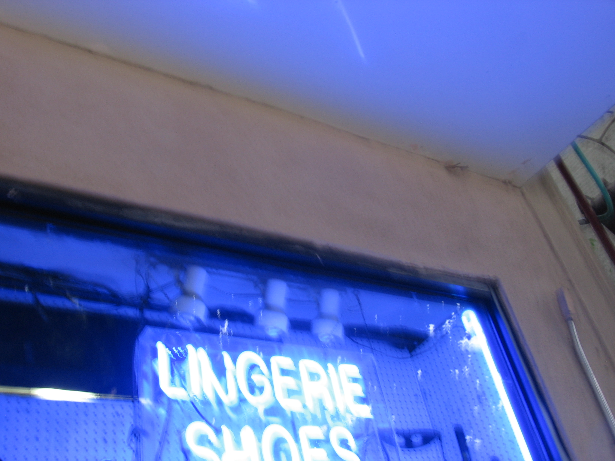 Lingerie-shoes neon sign.JPG