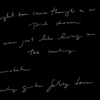 Lucy Ives - Anamnesis 12″