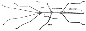 INSIDE UNDIVIDED (28)