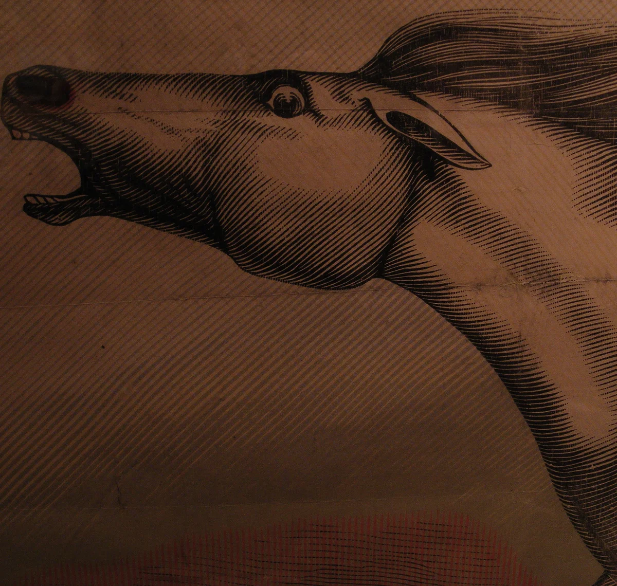 Julian Lynch, Bill Nace, Laura Warman 