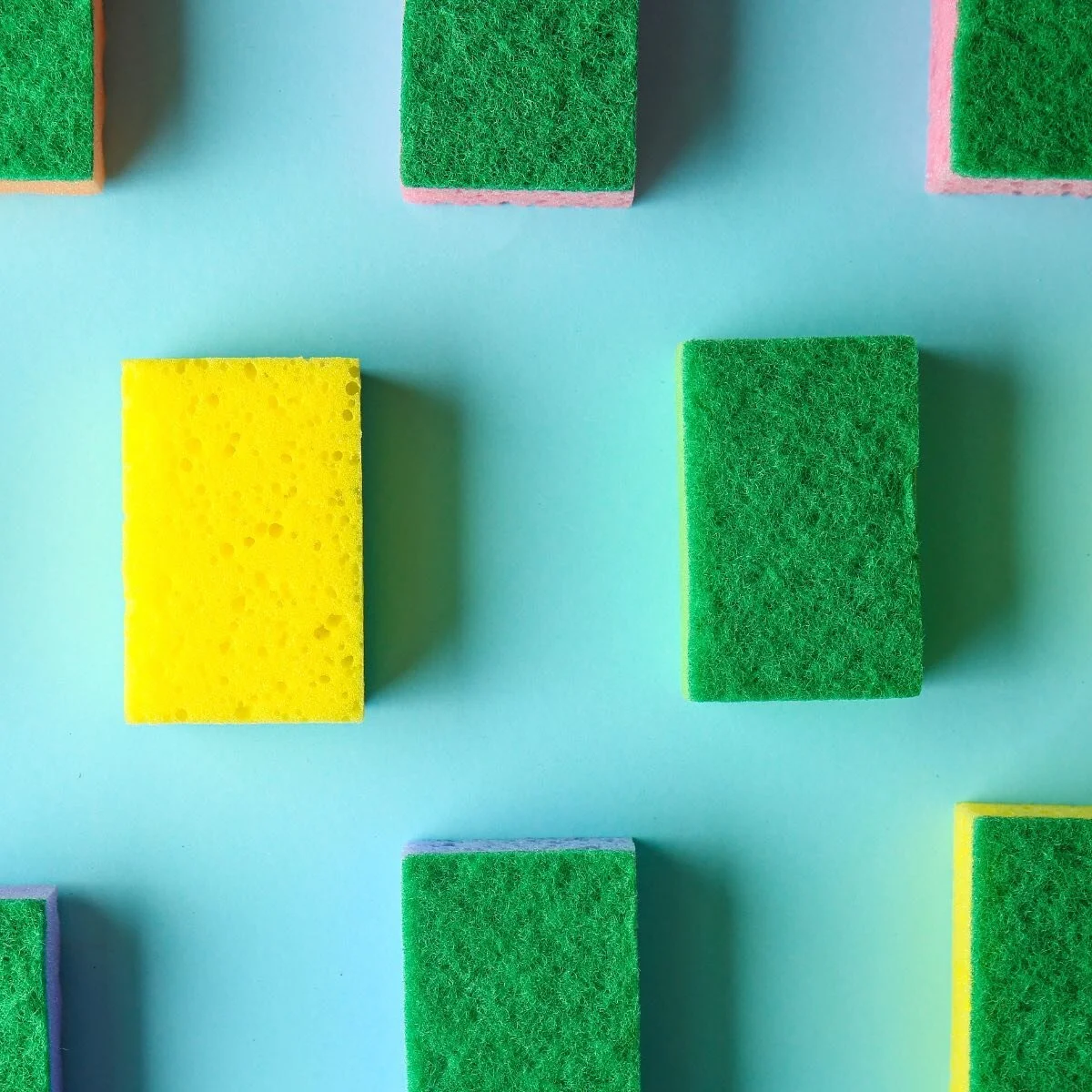Ready to absorb some knowledge about our stinky sink friends? (Link in bio) Sponges have been used since the Roman Empire, but back then they were sea sponges pulled straight from the ocean. While it&rsquo;s still possible to buy sea sponges, the mos