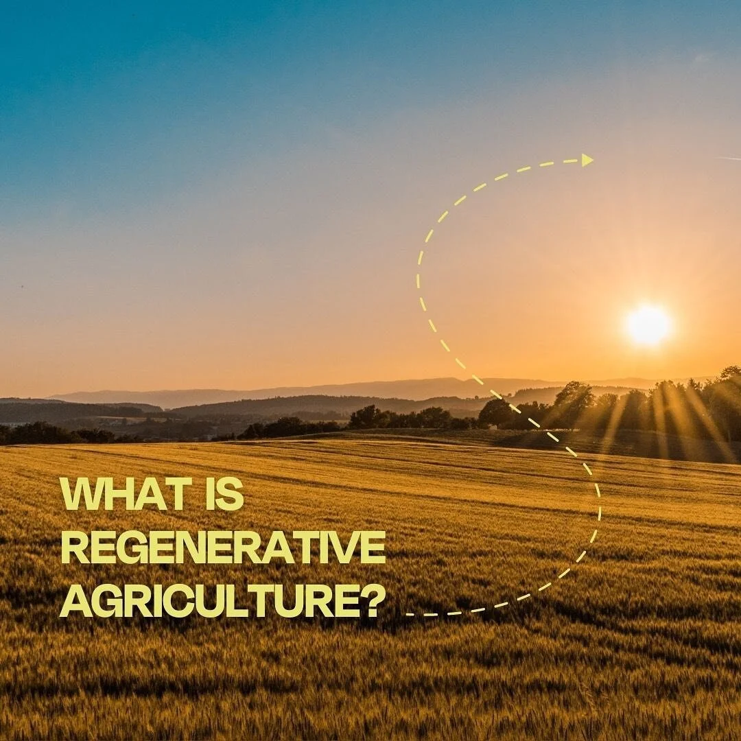 When something sounds really good, it&rsquo;s so easy to jump on the bandwagon. The latest bandwagon trend? Regenerative agriculture. We investigate the societal return to these agricultural practices with today&rsquo;s blog post (link in bio). ⁠⁠
⁠⁠