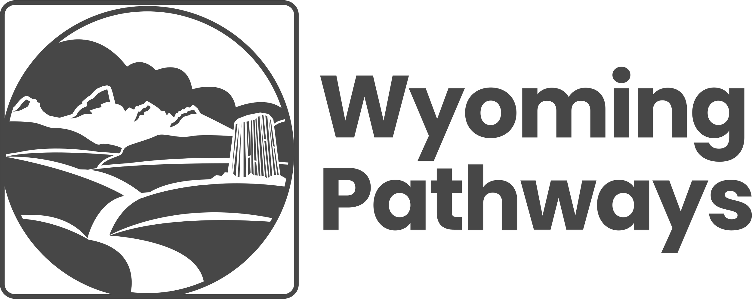 Logo_Charcoal_WyomingPathways.png