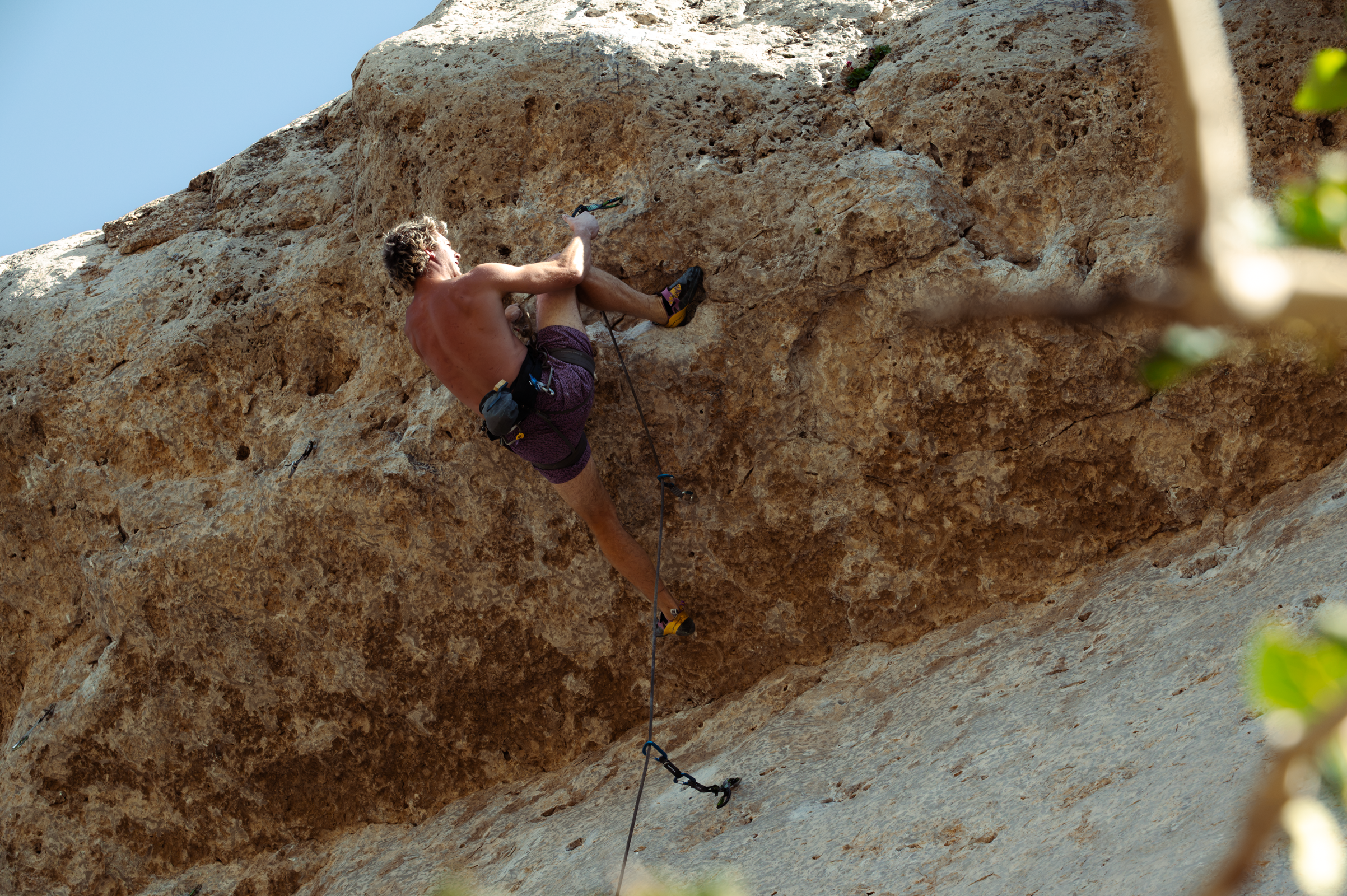 P.Ingham Limestone Rodeo-15.png