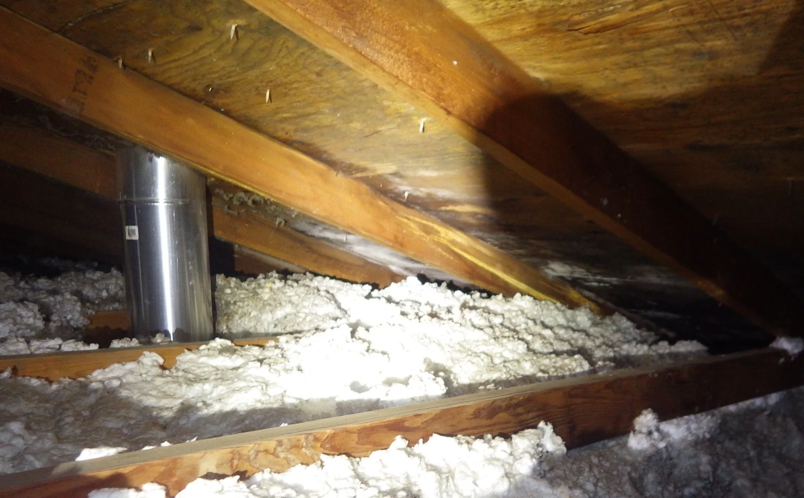 Water is actively leaking and two different fungi are growing.