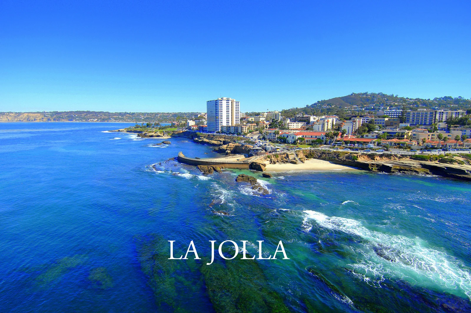 Eddie Vs | La Jolla