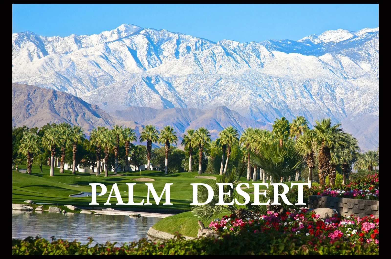 Eddie Vs | Palm Desert | (priv. invitation only)