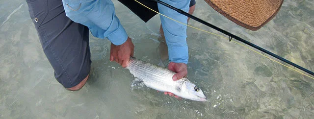 activities_022.jpg
