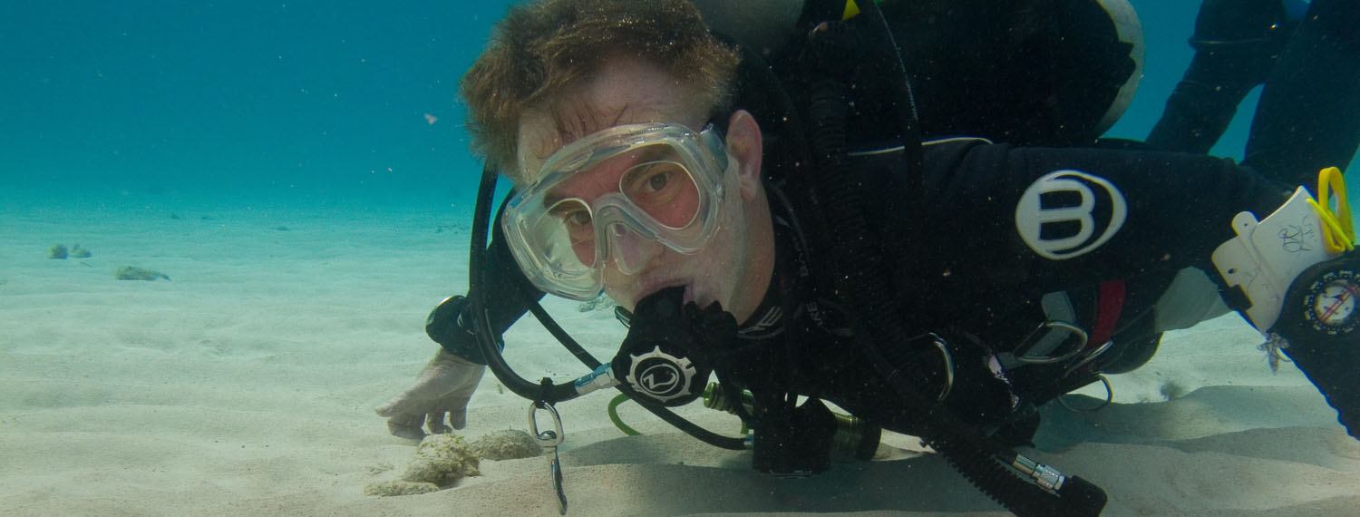 caribbean_016.jpg