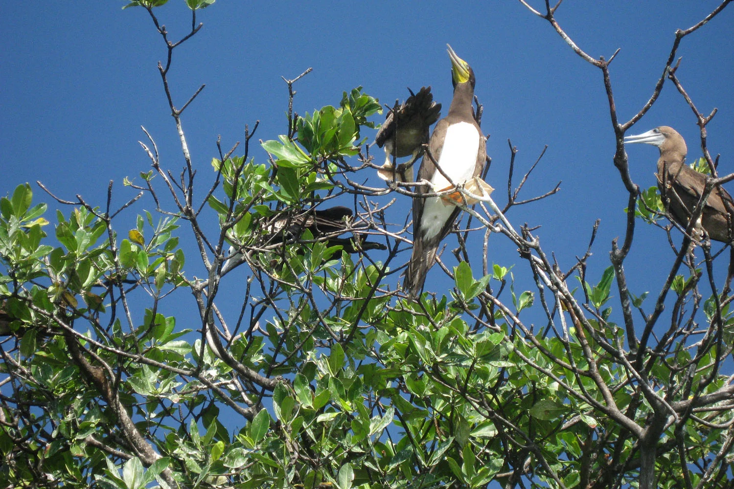 wildlife_005.jpg
