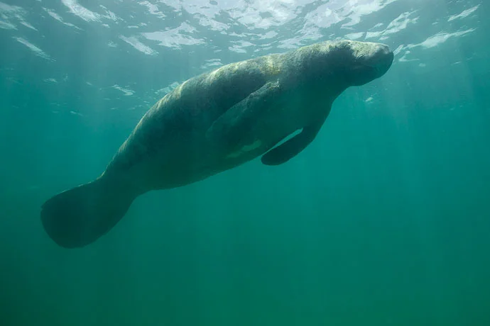 wildlife_013.jpg