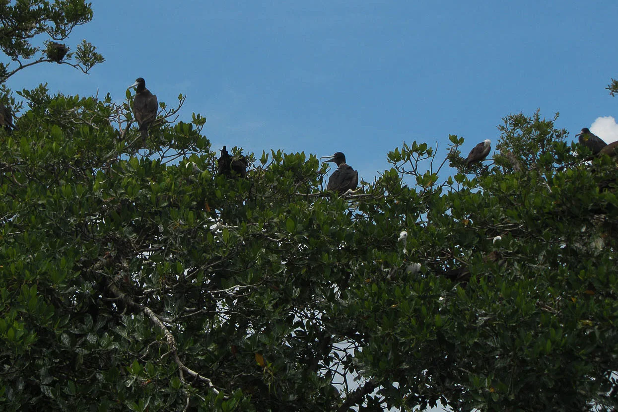 wildlife_021.jpg