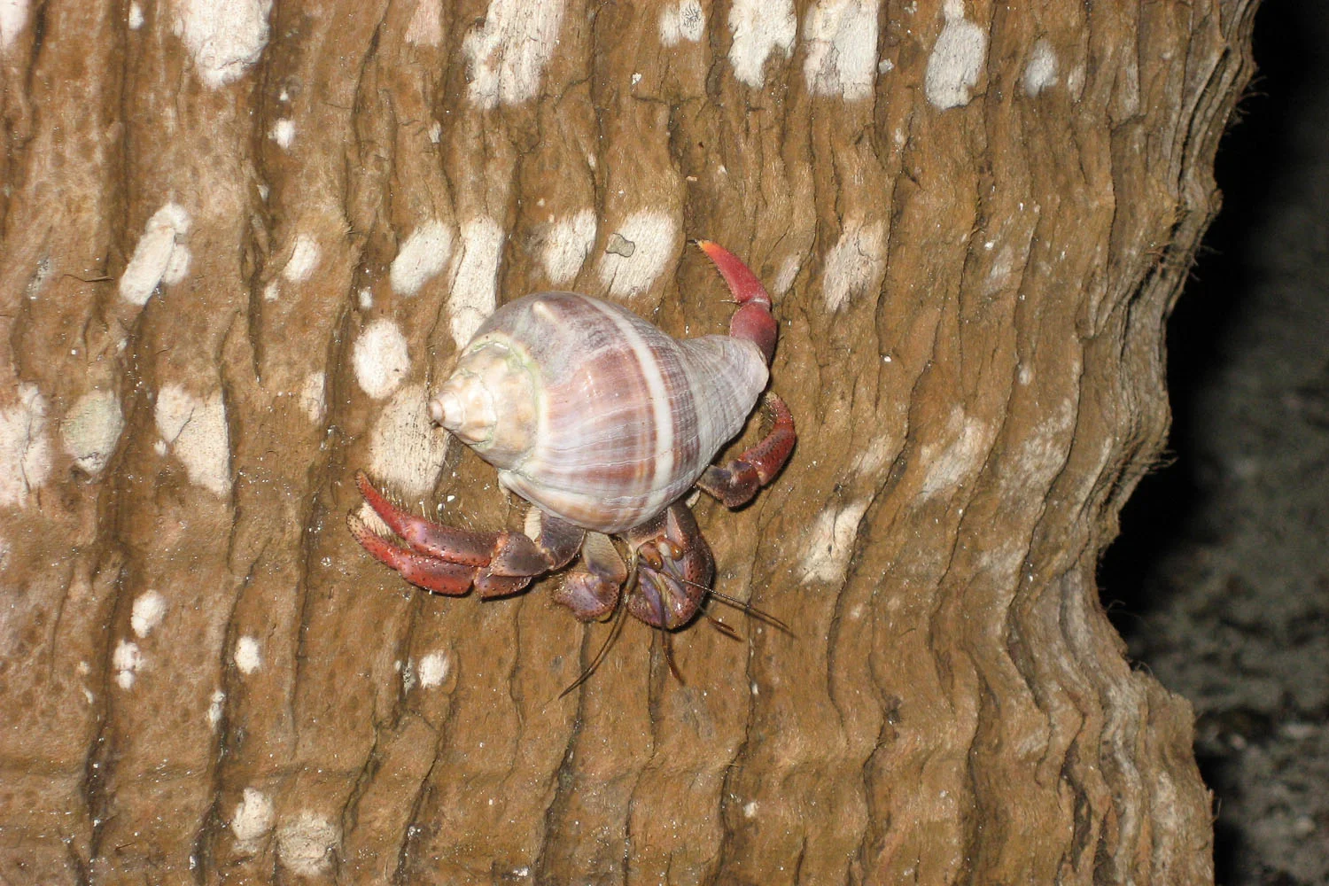 wildlife_002.jpg