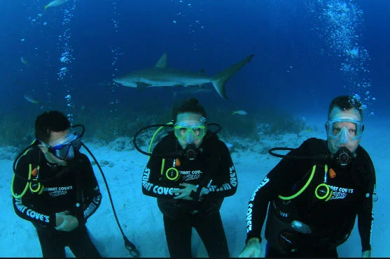 My Dive Log