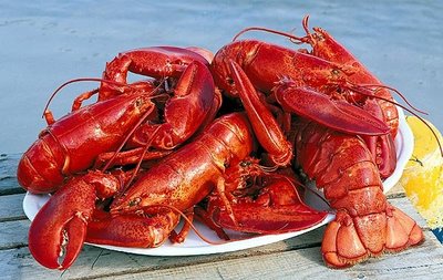 Lobster Fest