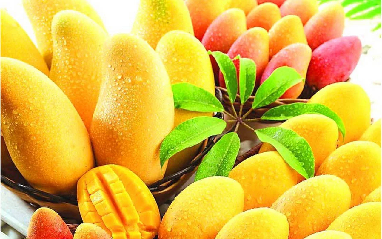 Mango Fest
